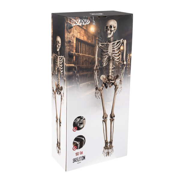Skeleton (160 cm) - Image 2