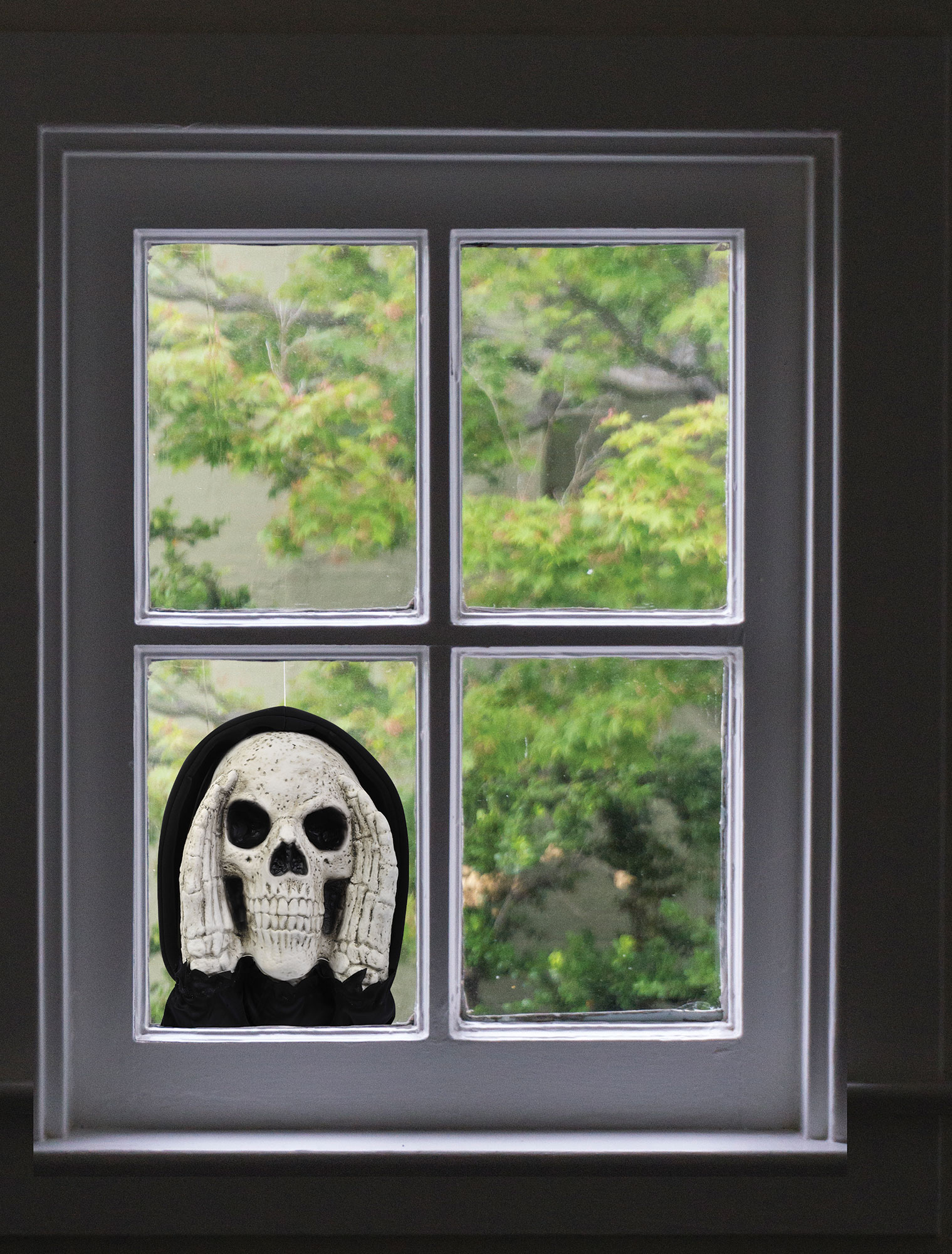 Reaper Scary PeeperĀ® - Image 2